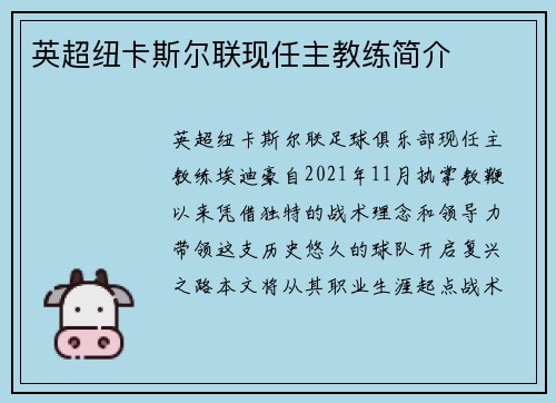 英超纽卡斯尔联现任主教练简介